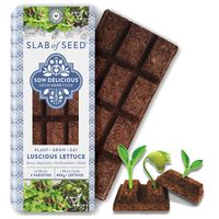 Sow Delicious Slab of Seed - Lucious Lettuce